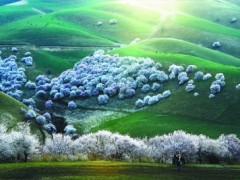 新疆、西藏深夜地震