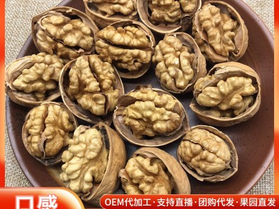 现货阿克苏185纸皮核桃新疆特产手剥