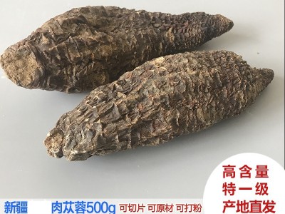 批发零售 新疆管花肉苁蓉硬大芸切片