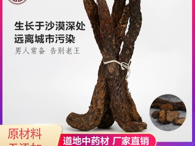 沙漠人参阿拉善油性软肉苁蓉 梭梭油