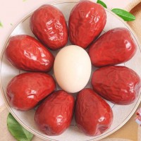 新疆特产新货和田大枣500g大果自然晾干肉厚饱满新疆红枣 特产批发