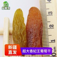 新疆特产红绿香妃王葡萄干超级特大免洗即食吐鲁番葡萄干500g批发