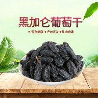 产地货源新疆黑加仑葡萄干 吐鲁番葡萄干散装500克以上批发