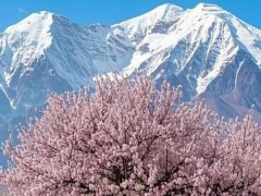 新疆十日游行程亮点概览，新疆必玩经典景点推荐！