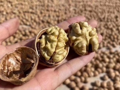新疆185纸皮核桃新货散装500克/袋薄