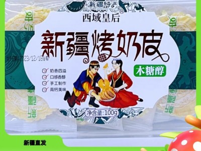 批发新疆特产西域皇后烤奶皮100g一