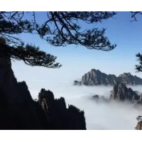明珠国际旅行社
