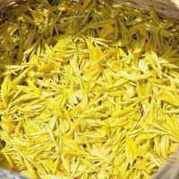黄金芽鲜叶