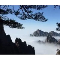 合肥出发品质黄山.水墨宏村.凤凰源纯玩二日游(推荐行程)